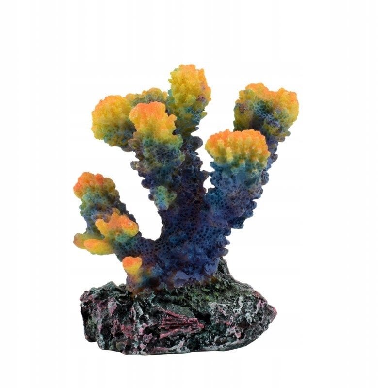 Terra Natura Dekoracja akwarystyczna koralowiec niebieski 8cm