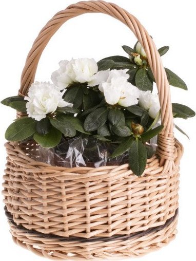 WickerPL Wiklinowy kosz prezentowy okrągły kosz na owoce z rączką w 4 rozmiarach