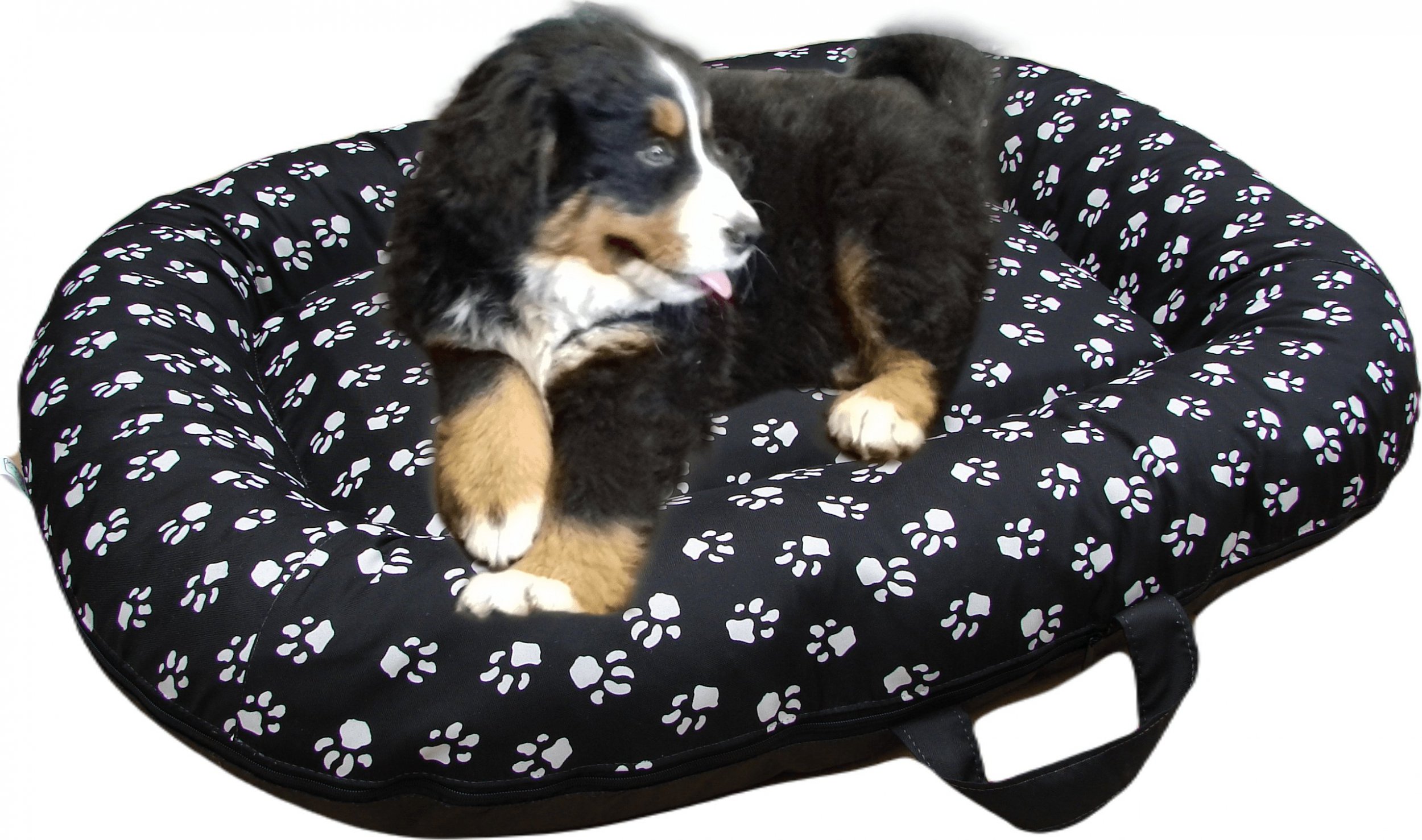 Legowisko Ponton dla psa gruby spód czarny w łapki M 90/60 R.2