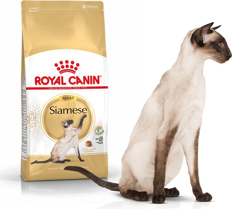 Royal Canin Siamese Adult karma sucha dla kotów dorosłych rasy syjamskiej 2 kg