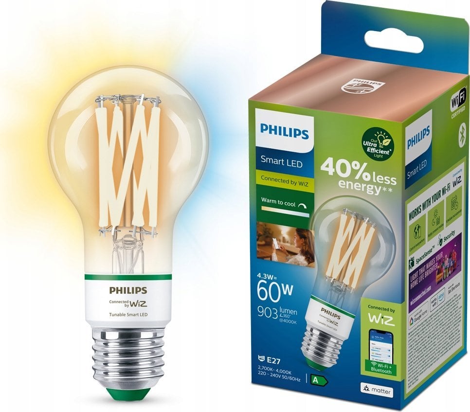 Philips Philips Żarówka z widocznym żarnikiem 60 W E27