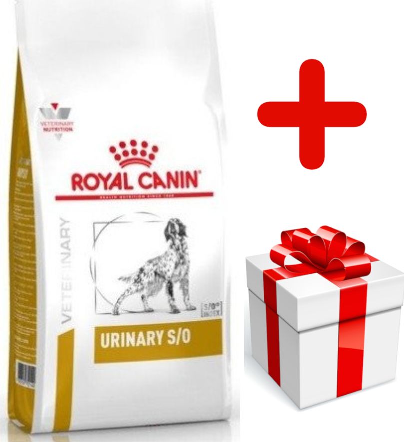 Royal Canin Royal Canin Urinary S/O 13kg + niespodzianka dla psa GRATIS!