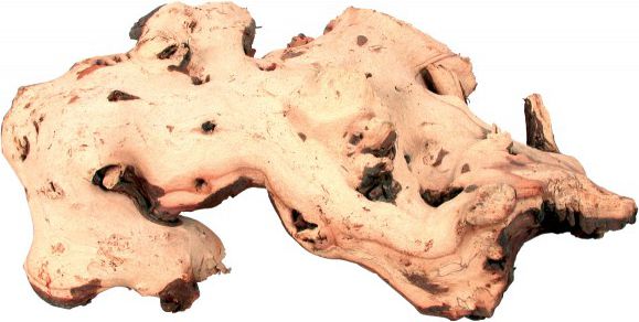 Zolux Korzeń mopani duży