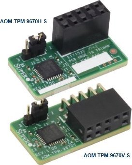 SuperMicro Supermicro Add-on Modul TPM 2.0 AOM-TPM-9670H-S