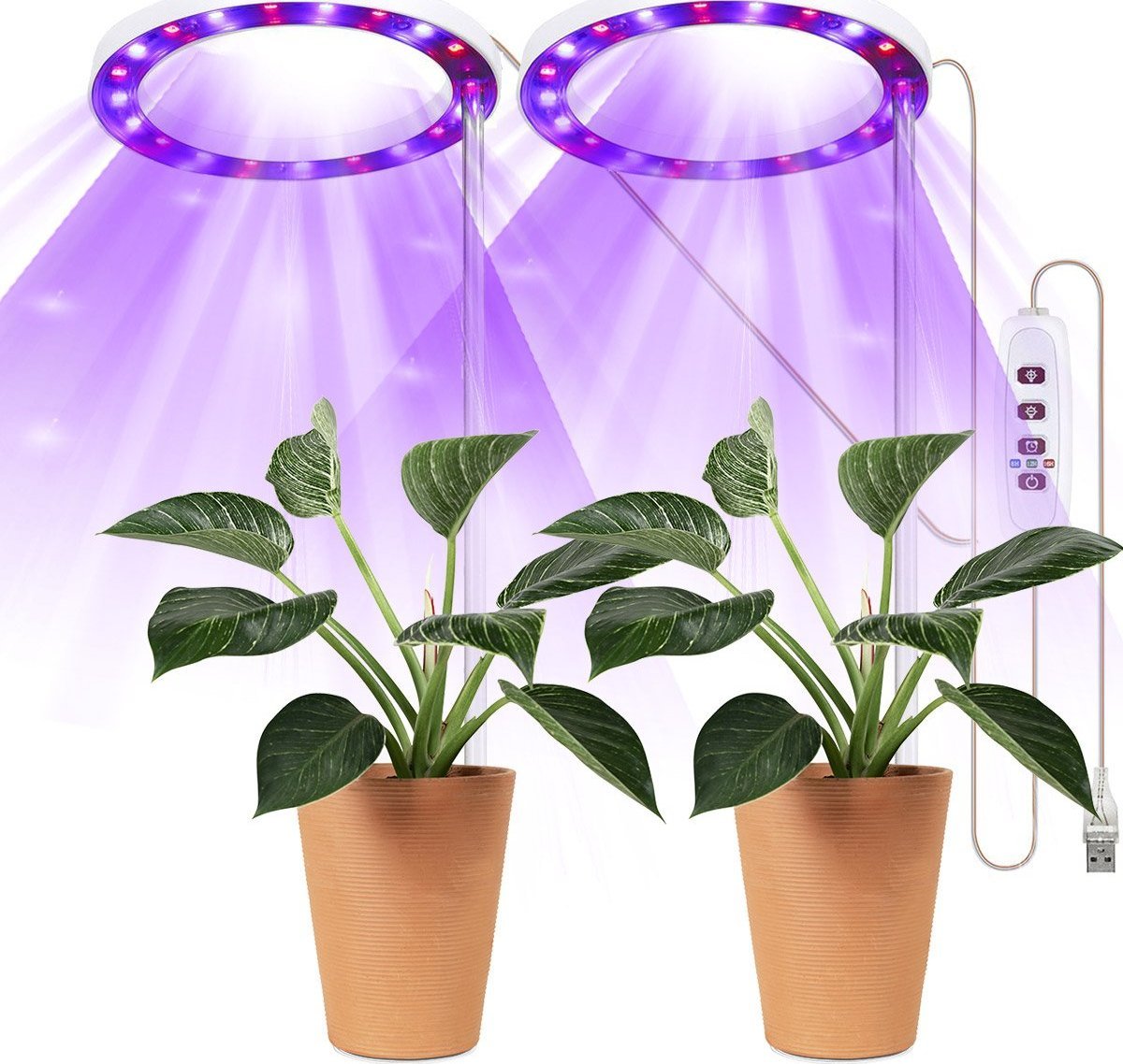 Heckermann Lampa LED plant Heckermann PIERŚCIEŃ TSH-G1-2 - 2 głowice - Fioletowy