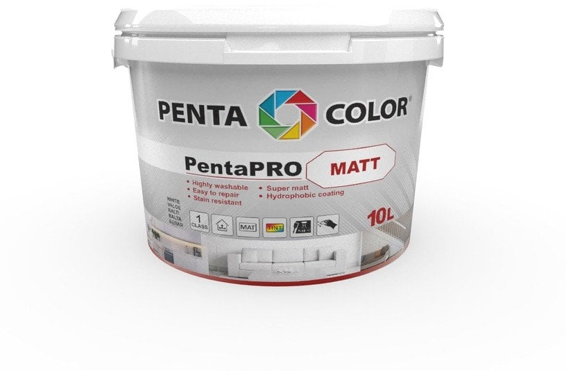 PAINT PENTACOLOR PENTAPRO MATT BALT 10L