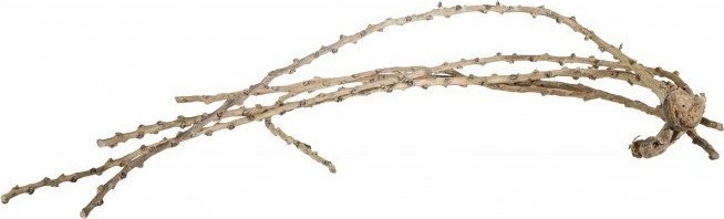 Terra Natura Korzeń Liana Finish 60-100 cm, op. ok. 5szt