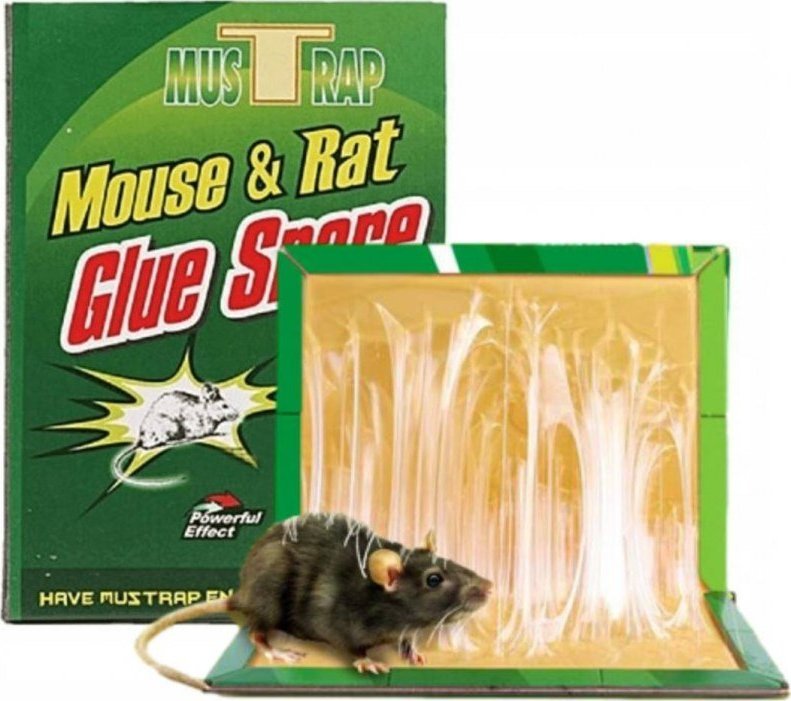 PrzydaSie Lep Na Myszy Pułapka Klejowa Gryzonie 31X21