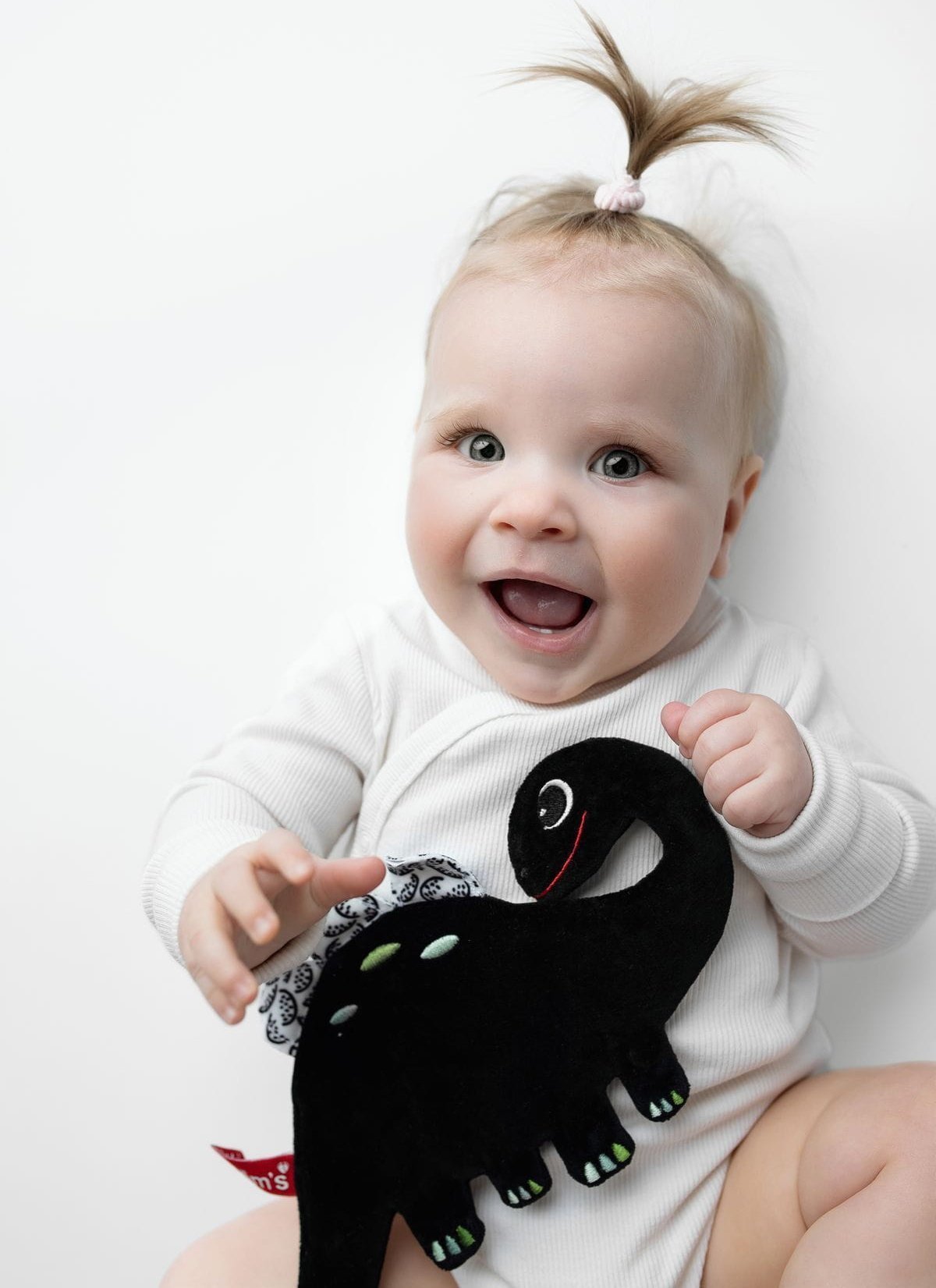 Dinozaur szeleszcząca szmatka kontrast.123 61230