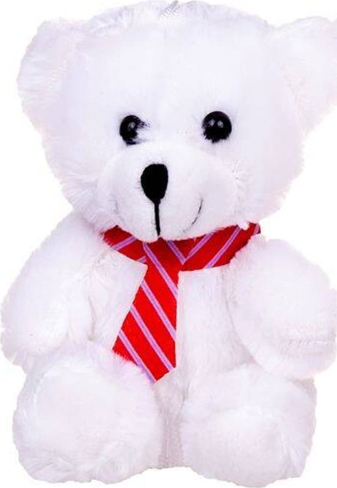 Deef Misiaczek z krawatem mix 03634 DEEF