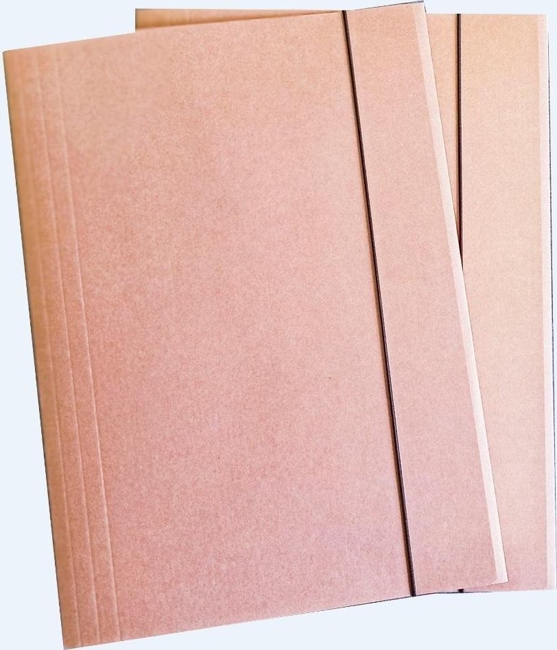 Wektor Teczka A4 Eko* Kraft (10szt)