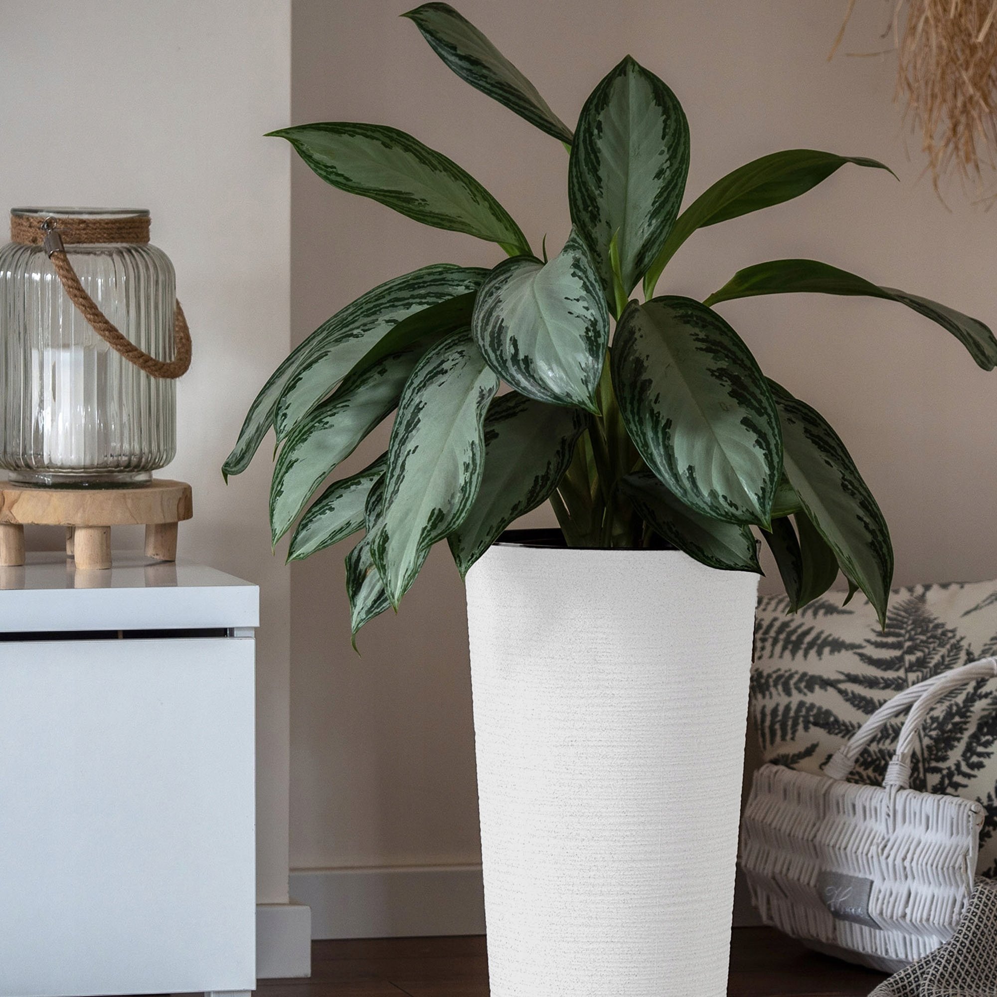 Kadax Zestaw 3x Doniczka Donica Ogrodowa + Wkład Biała