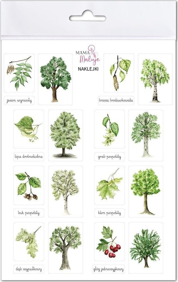 Naklejki Drzewa 1