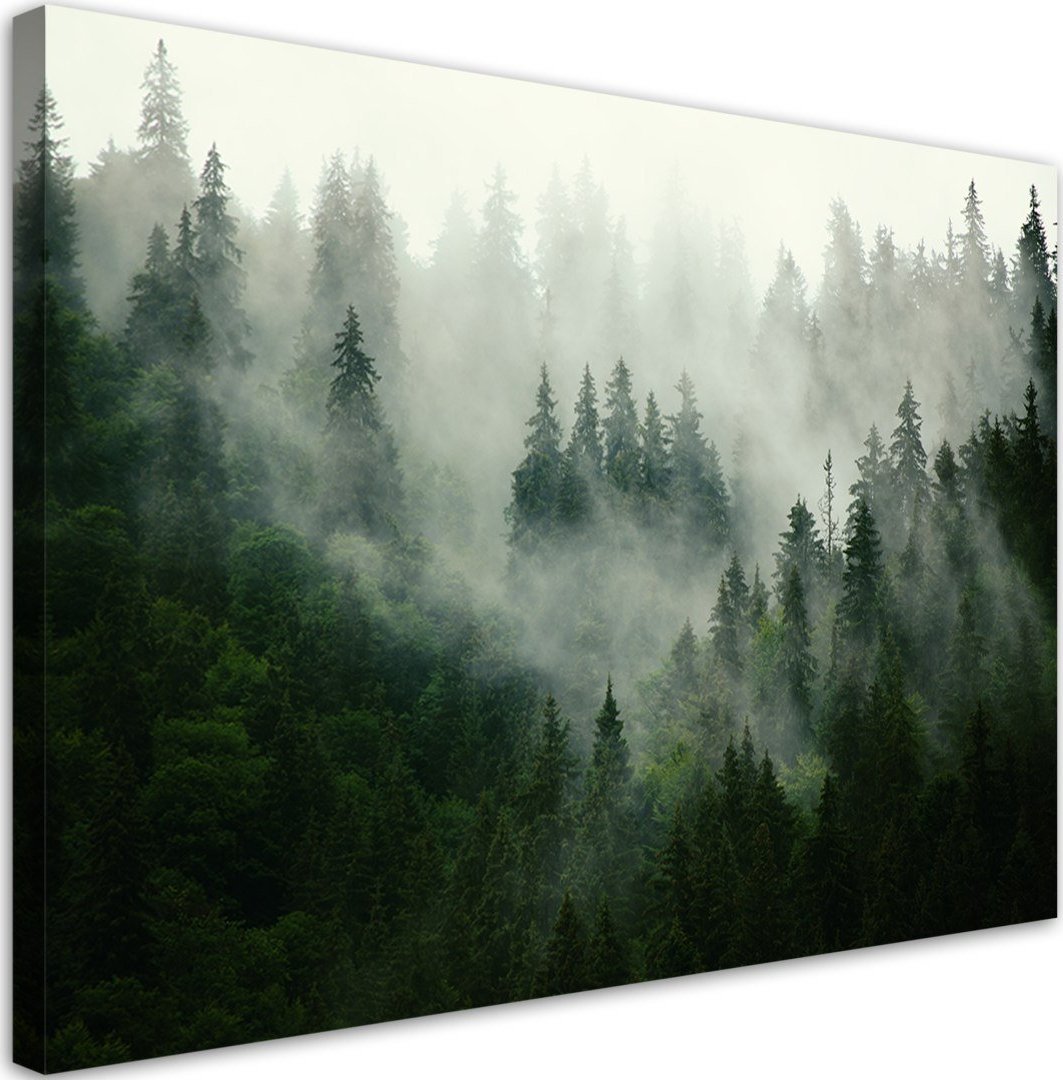Feeby Obraz na płótnie, Las we mgle - 120x80