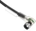 Phoenix Contact Kabel do czujnika 3P 5m wolny koniec przewodu gniazdo kątowe M8 (1671085)