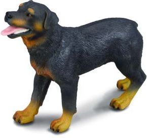 Figurka Collecta Pies rasy Rottweiler (004-88189)