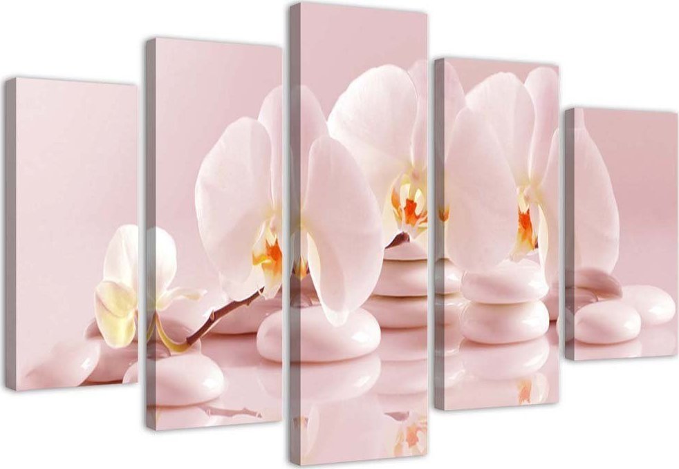 Feeby Obraz pentaptyk na płótnie, Storczyk na kamieniach - 200x100