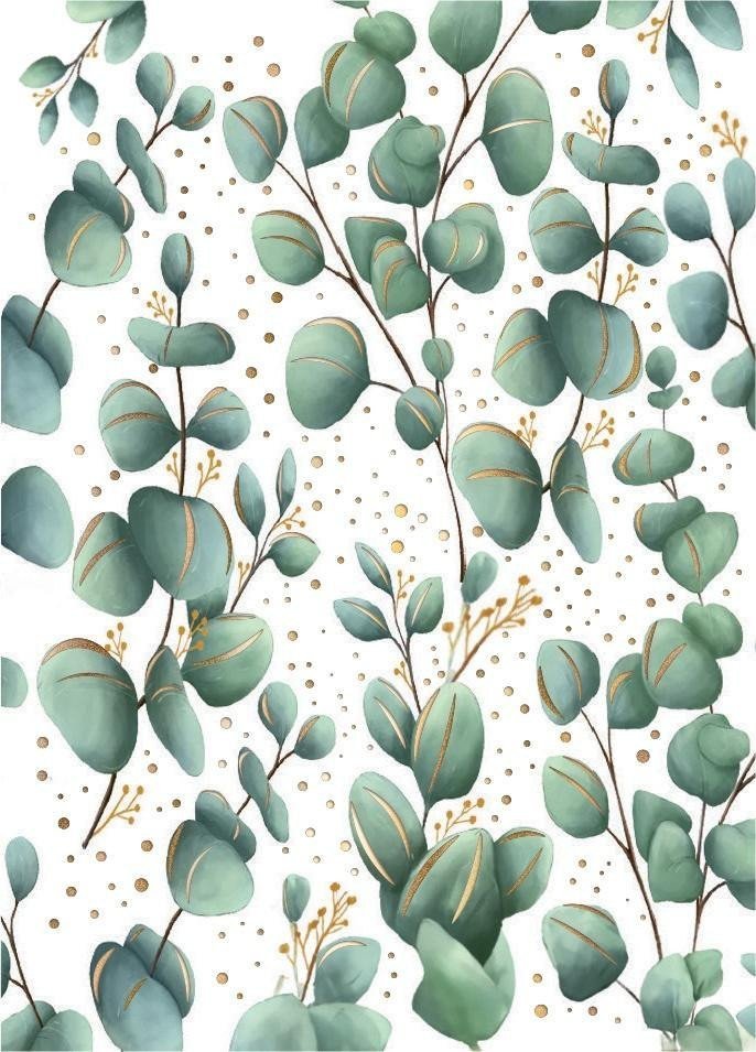 Karnet B8 mini Eukaliptus