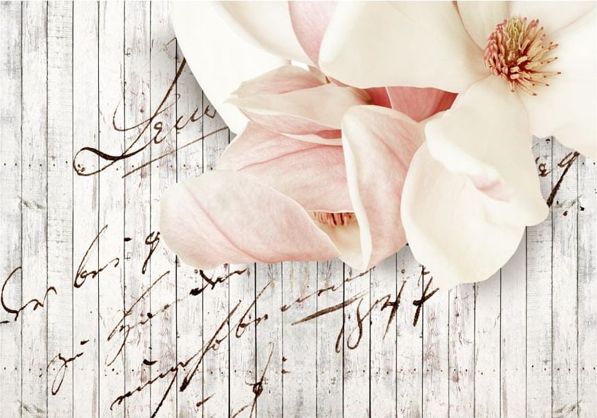 DecoNest Fototapeta - List miłosny - 200X140