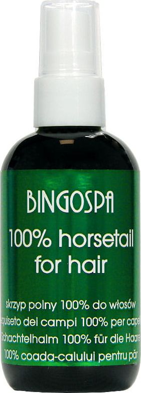 BingoSpa Skrzyp polny 100% BingoSpa