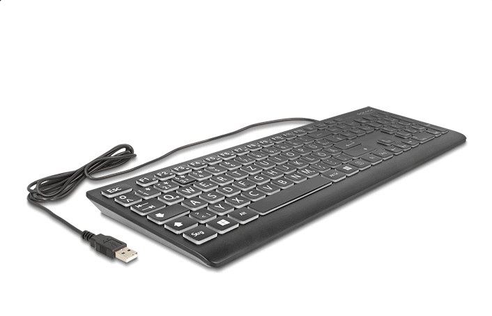 DELOCK USB Tastatur kabelgebunden 1.5m schwarz mit XXL Buchstaben und Beleuchtung