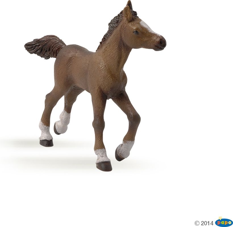 Figurka Russell Źrebie rasy angloarabskiej - Papo (51076)