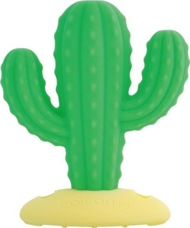 Gryzak kaktus 3m+