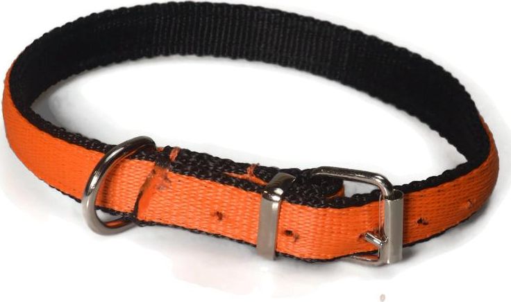 Alizoo Mocna podwójna obroża dla psa 20mm/40-48cm - ALIZOO