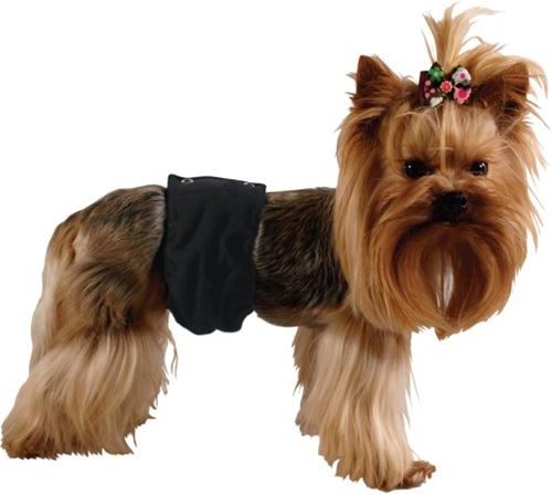 Grande Finale Pampas czarny - majtki dla samca rozmiar 4 [PA1/4]