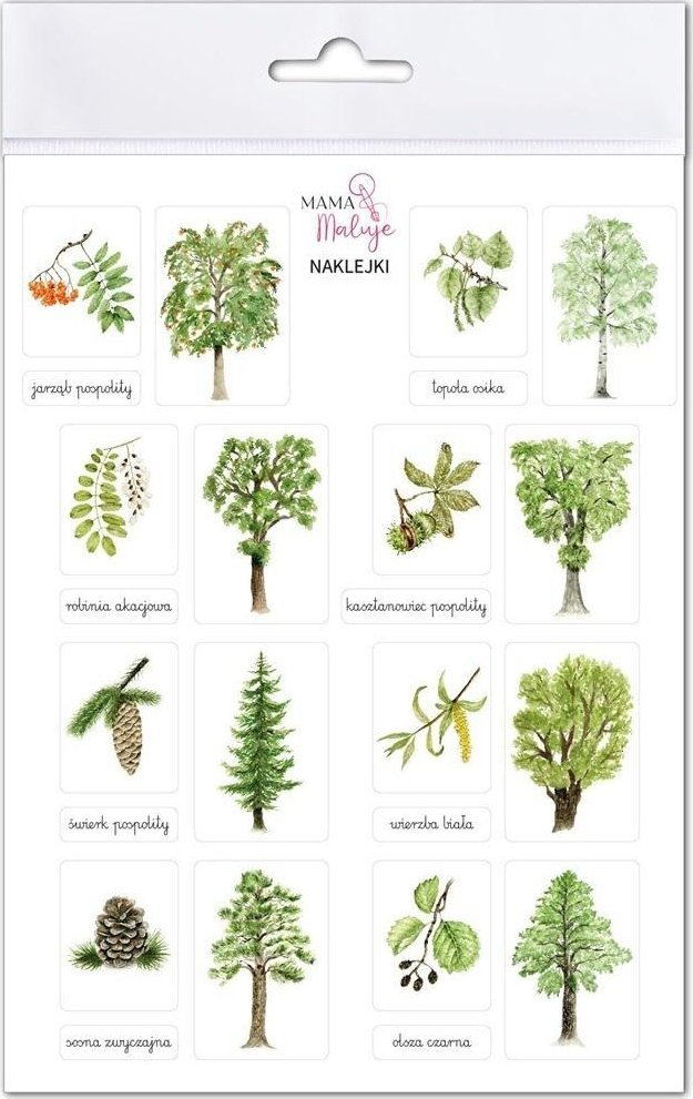 Naklejki Drzewa 2