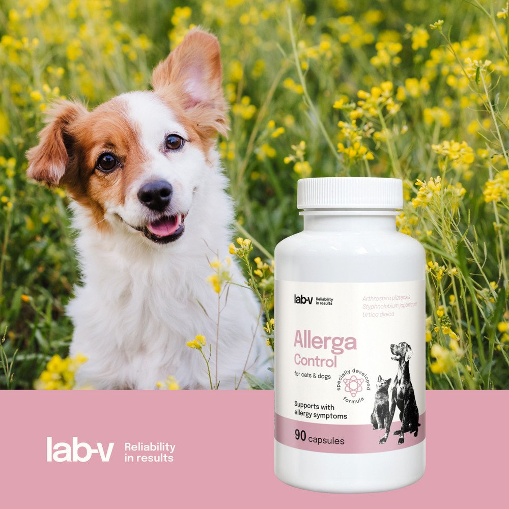 LAB-V Allerga Control Wsparcie przy objawach alergii 90 kapsułek