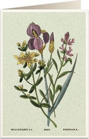 Tassotti Karnet B6 + koperta 6060 Irys