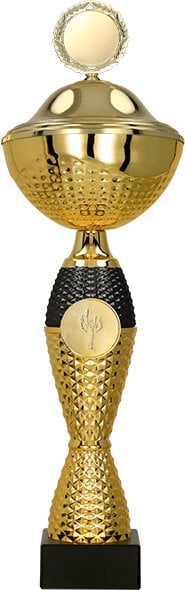 Victoria Sport Puchar metalowy złoto-srebrny DIUNA