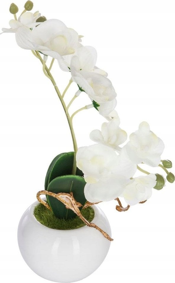 Atmosphera Biała orchidea sztuczna w donicy, 25 cm