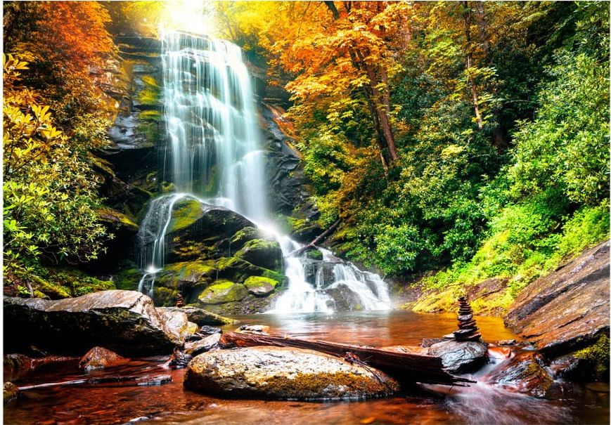 DecoNest Fototapeta - Niesamowity cud natury - 350X245