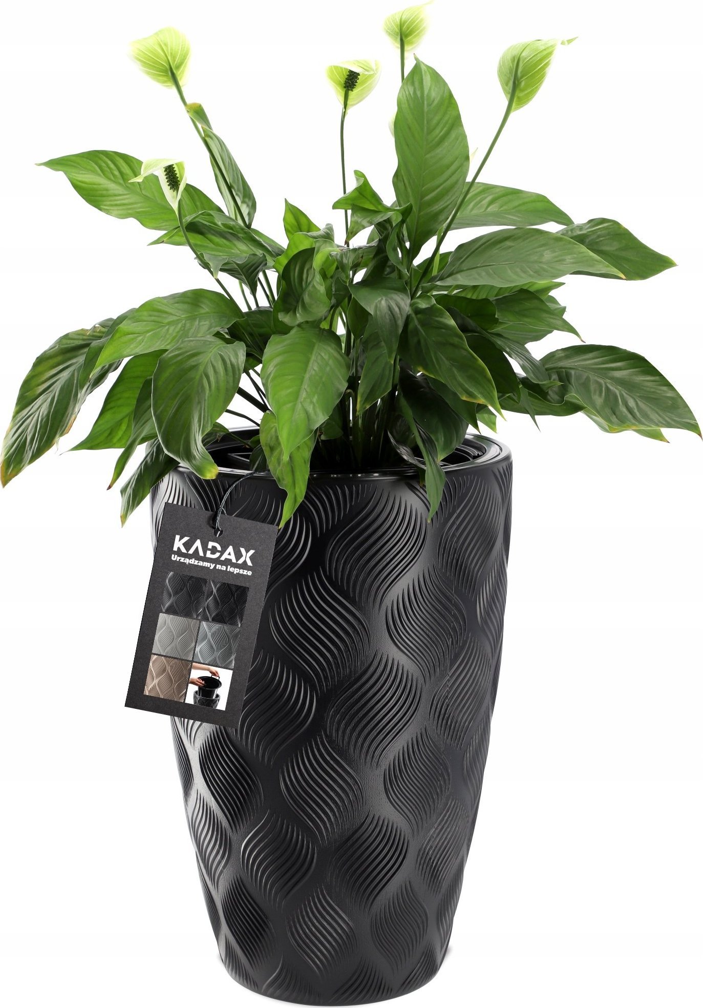 Kadax Donica Wysoka Doniczka Z Wkładem Ogrodowa 48,5cm