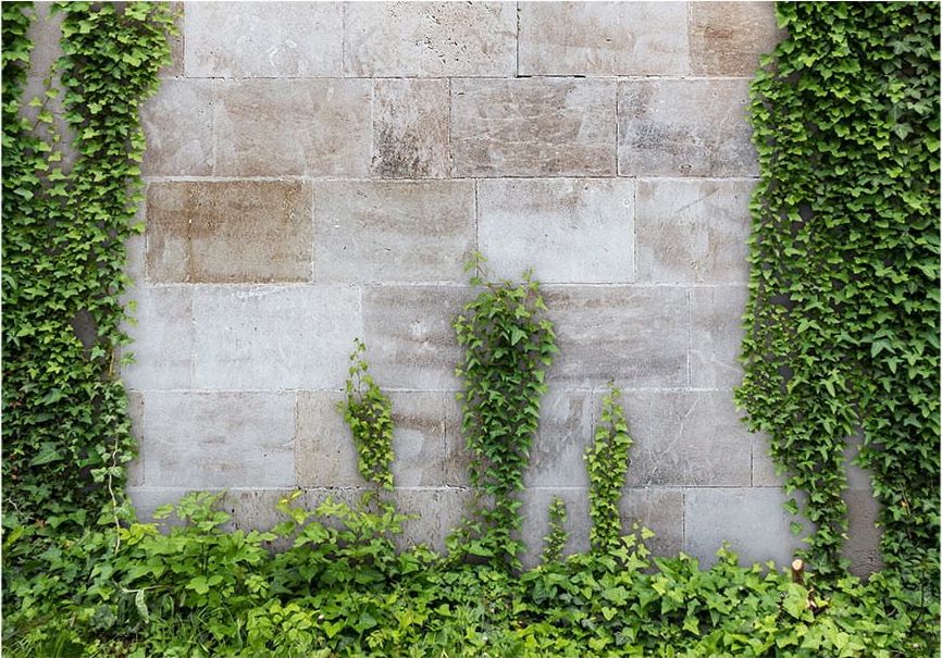 DecoNest Fototapeta - Zapomniany ogród - 350X245