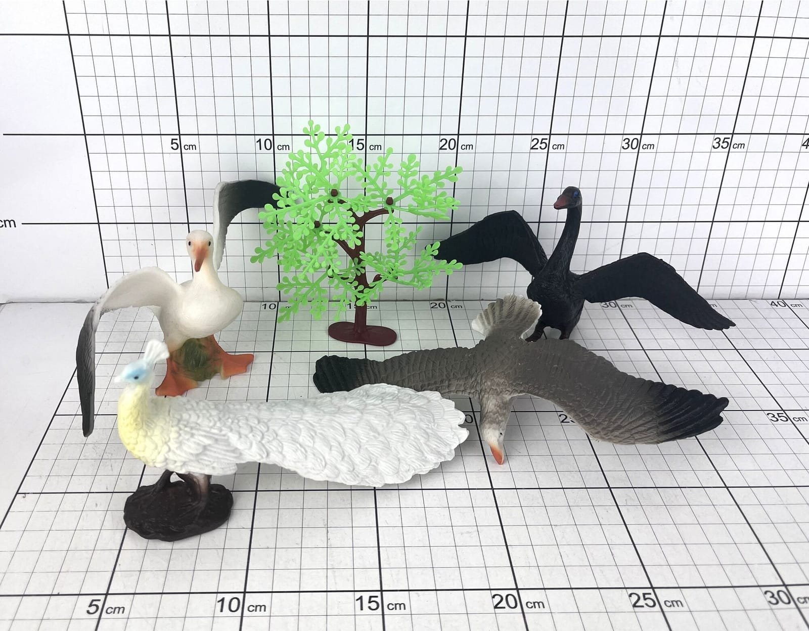 Ptaki 5szt w folii 1355316 53160