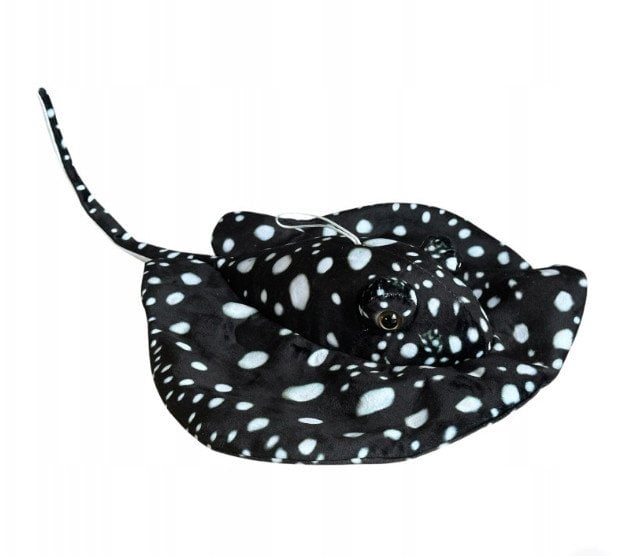 Płaszczka czarna 55cm 32980