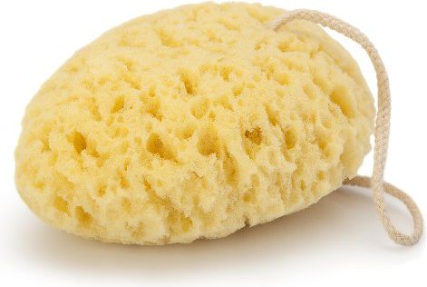 Donegal GĄBKA DO MYCIA owalna (6009)