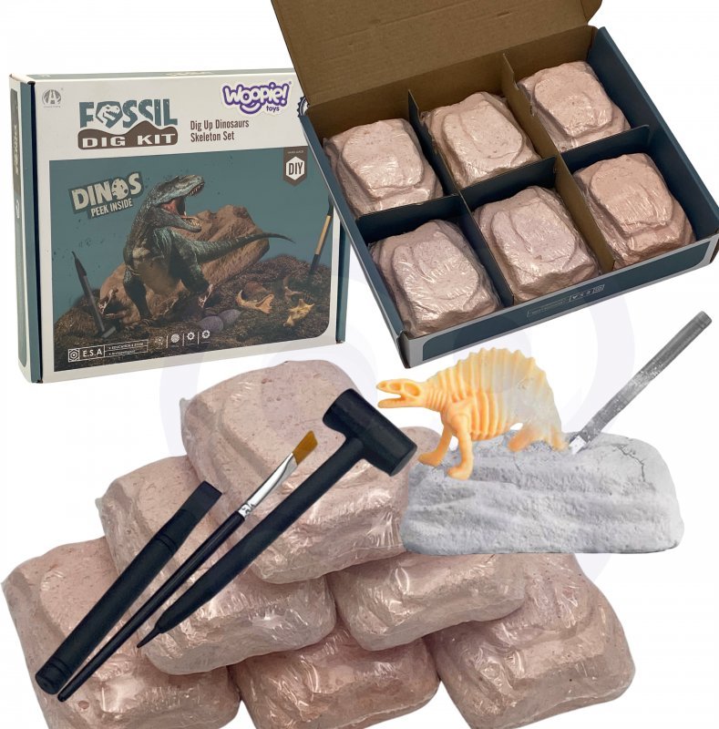 WOOPIE Wykopalisko 6w1 Dinozaur Szkielet Mały Archeolog 6 szt.