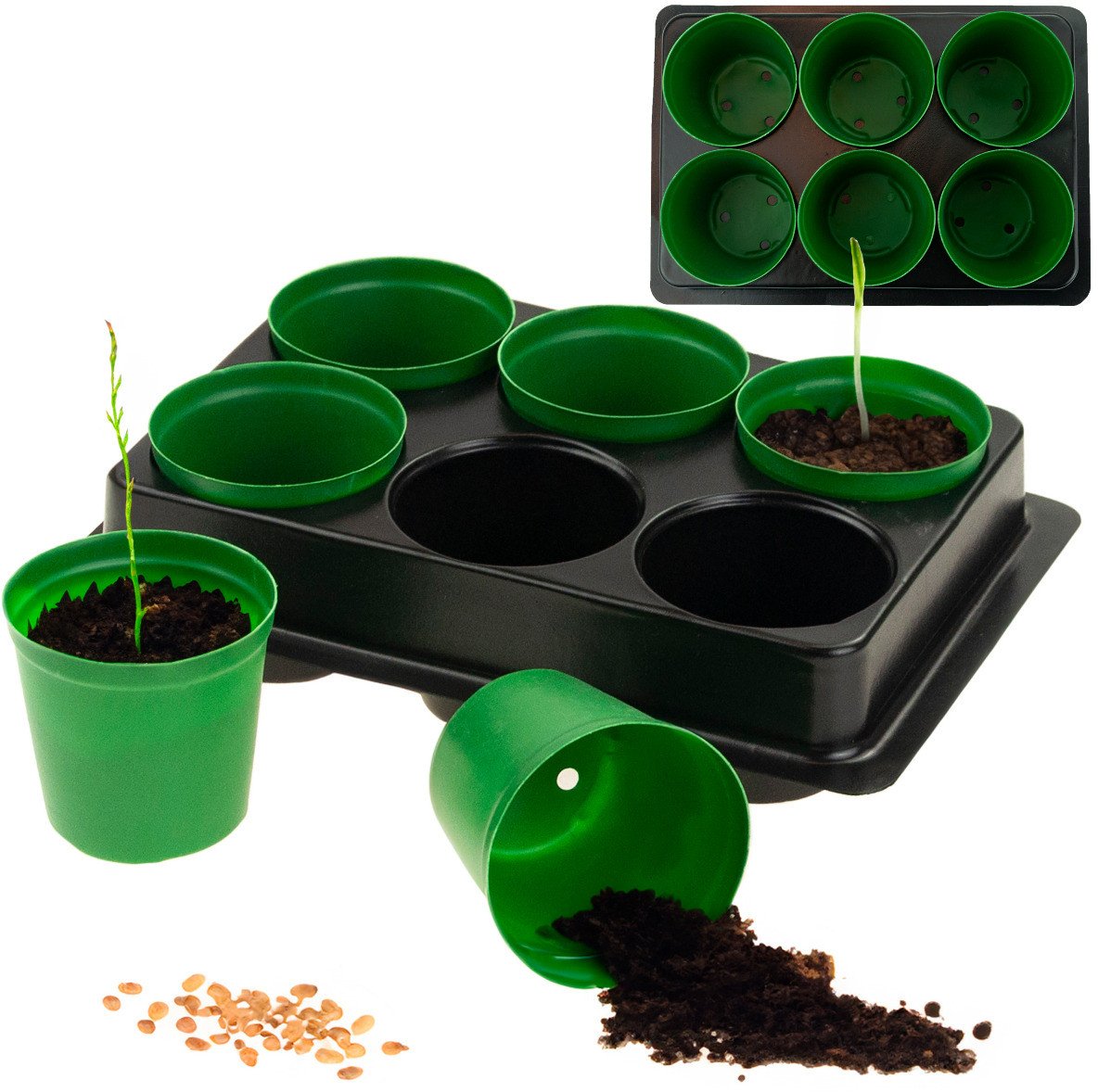 TG71424 DONICZKI PRODUKCYJNE multiplaty DO ROZSAD WYSIEWU SADZONEK 6SZT + PALETKA