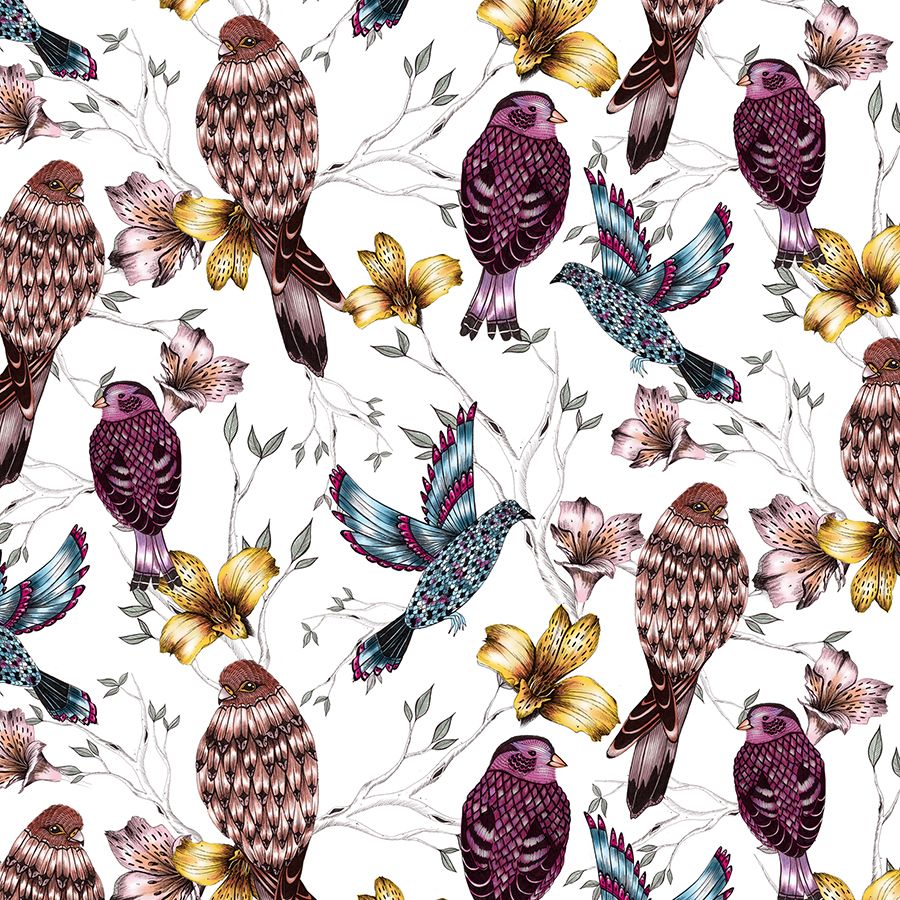 Clear Creation Karnet Swarovski kwadrat Etniczne kolorowe ptaki (CL0412)