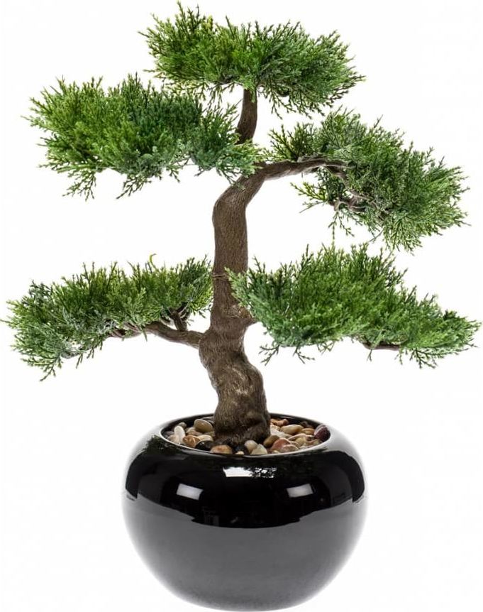 Emerald Emerald Sztuczny cedr bonsai, zielony, 34 cm, 420003