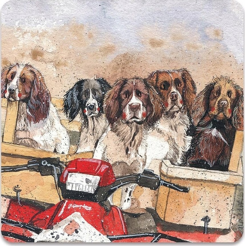 Teka Magnes FM250 Psy Spaniele