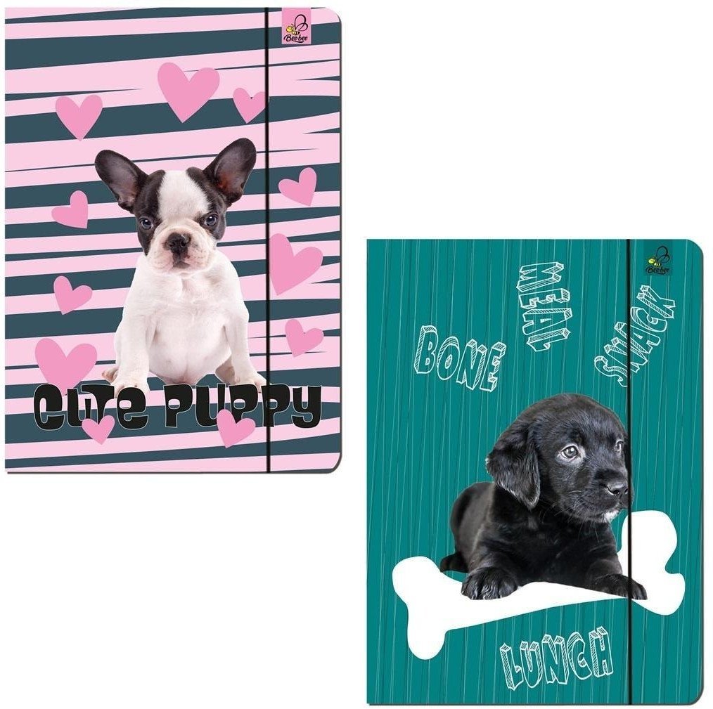 Teczka A4 z gumką Best Friend Psy