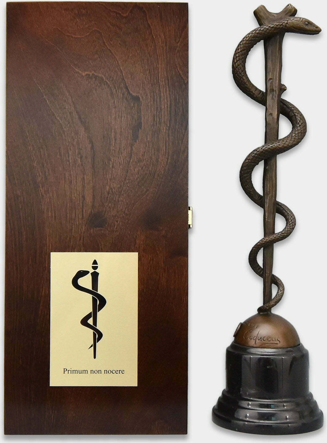 rzezbyzbrazu Wąż Eskulapa Rzeźba z Brązu w Pudełku Prezentowym z Dedykacją Prezent dla Lekarza