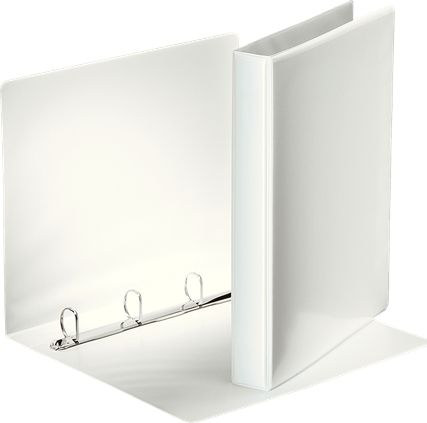 Segregator Esselte Panorama 4-ringowy A4 44mm biały (10K172G)