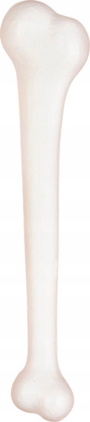 Korbi KOŚĆ MACZUGA JASKINIOWCA PAŁKA FLINSTON 40cm