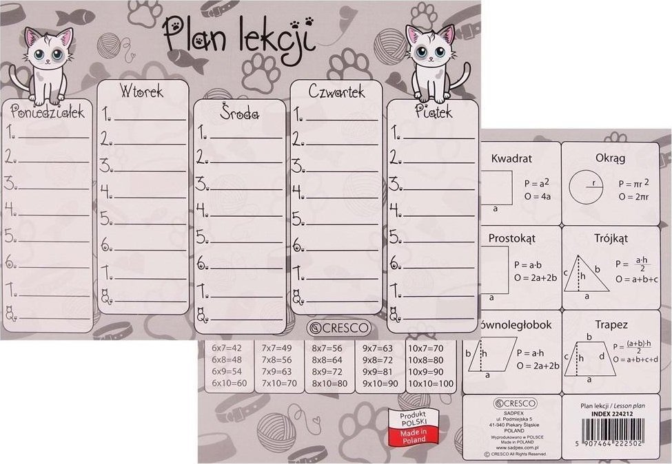 Plan lekcji A5 Brytyjczyk (25szt)